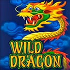 Wild Dragon game thumbnail